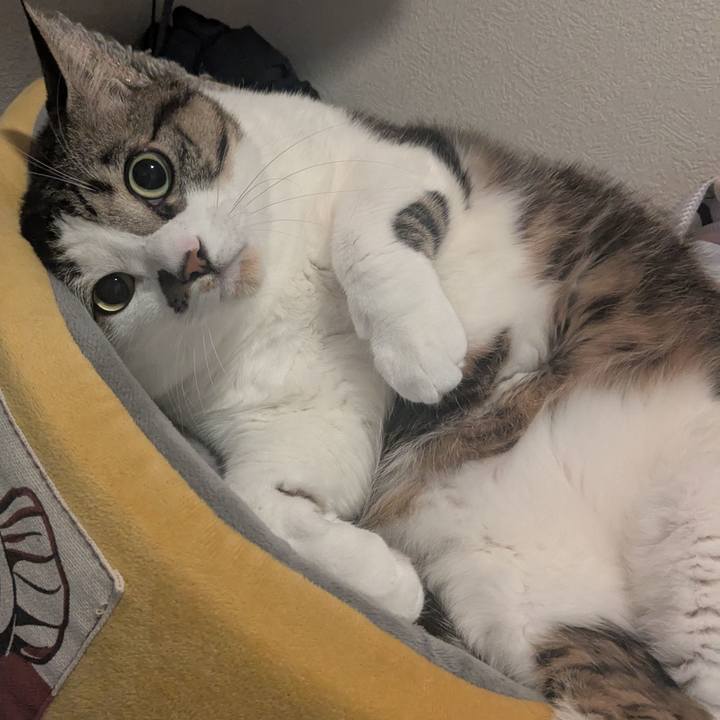 4b00e121 d061 4006 9e81 89e9f07a70fd 1739707138128