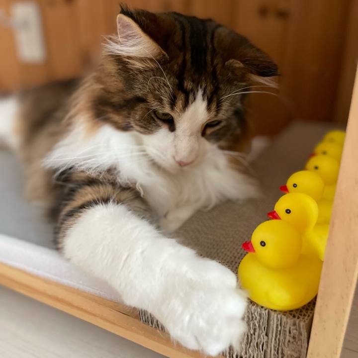 4b00f877 9fc5 4925 ad81 80b9ac53fb23 1644707569715