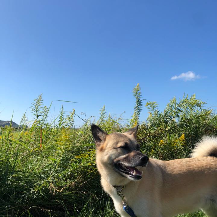 4b012400 15d6 4fdc 86bb 0fb3b2972a6a 1633866727747