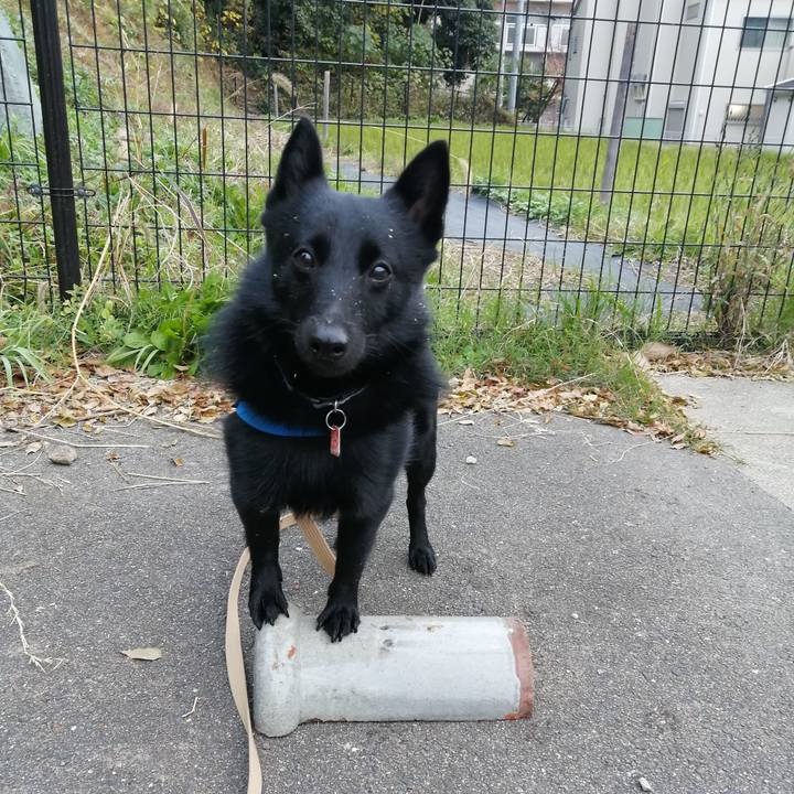 4b012763 95b8 4d7c 875c cb9ef1f81aef 1606256392411