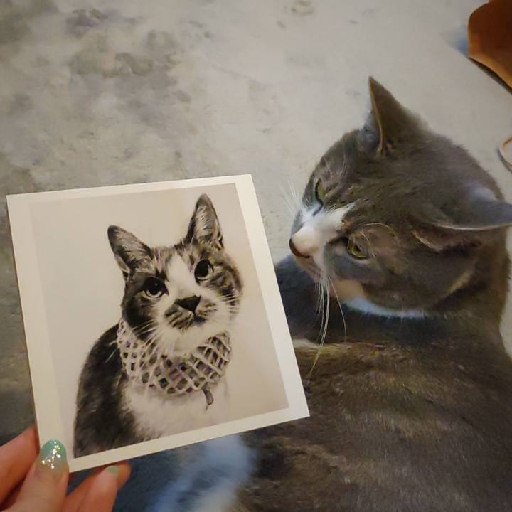 4b0144c5 fdf1 4d1a b3e1 57d74c700ac7 1654939427435