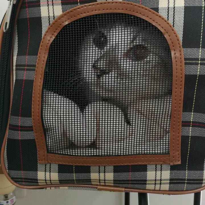 4b014f65 f67e 4bb7 84a5 323b15307ff2 1543730773248