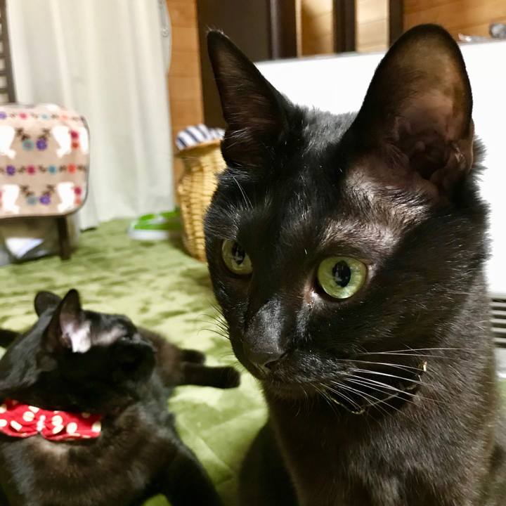 4b015d8f d936 400b 870c 5a9fd63e60a9 1513930890340