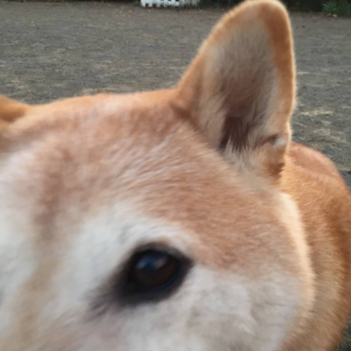 4b016790 dbd3 4e7b 89d9 155eff27239f 1523771781809