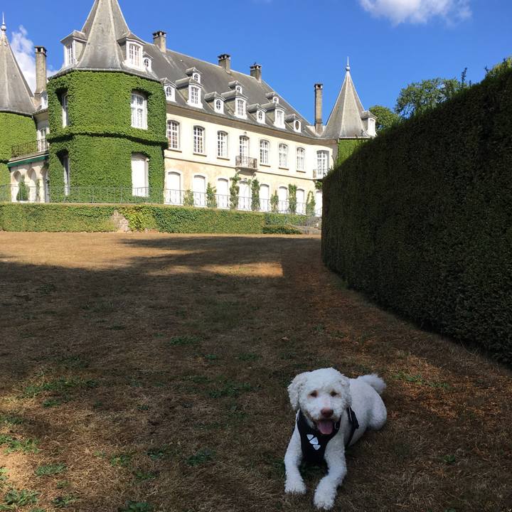 4b016b64 1956 49d3 ae57 547f1e2bec6c 1534100661687