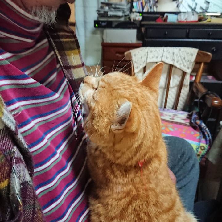 4b0187a7 12fa 4d8d 98b1 764e7f6bcc12 1579339040499