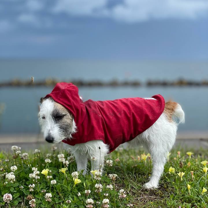 4b0191c3 6450 4b5b a066 6db049e1684c 1622246953426