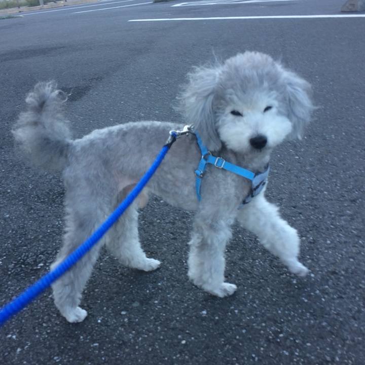 4b019fa5 304b 4b68 951c 6cb6b27264aa 1760416212955