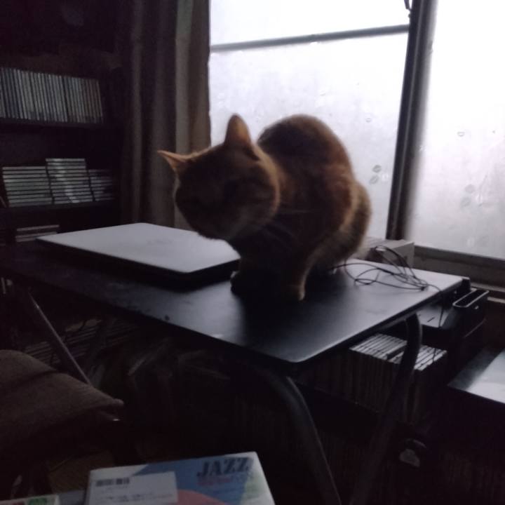 4b01cd7e a45b 49e6 9e73 73d076de95f6 1678658334268