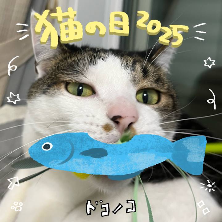 4b020dc6 b65a 492a 838e b2e8a8e64bd3 1740229470209