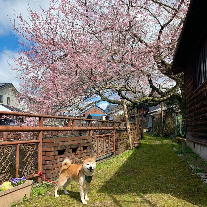 4b023890 d692 4ecf 8d06 737c84f4481d 1679742192364