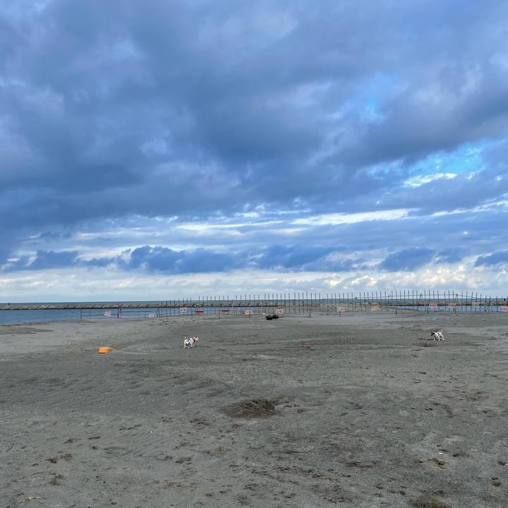 4b0279ef 9d03 4180 ae8c 64fc935e2306 1665796396122