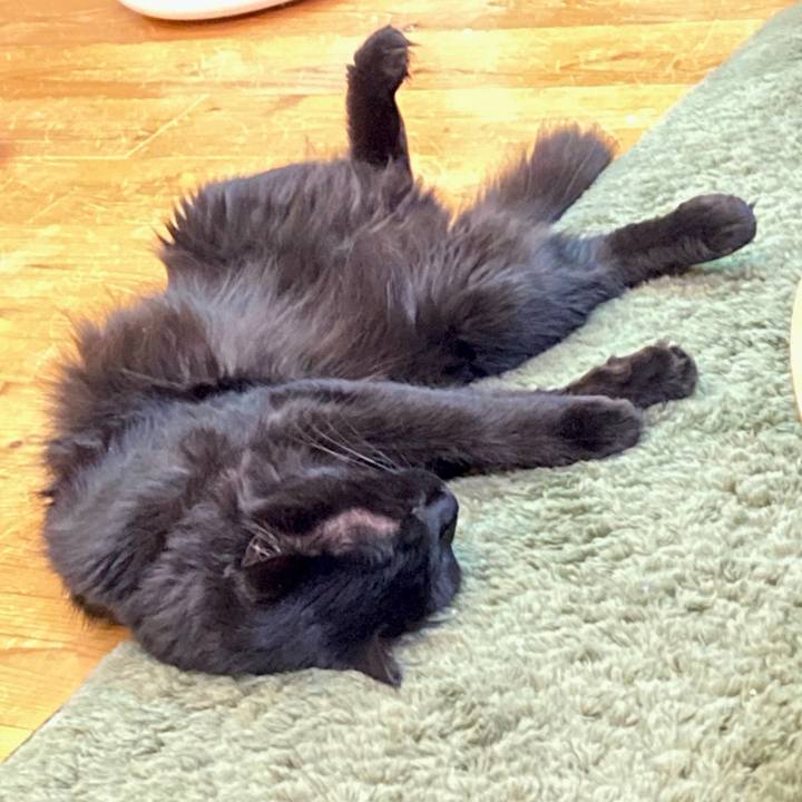 4b029bfb f541 4cdc 99be 6710103d891e 1751358421805