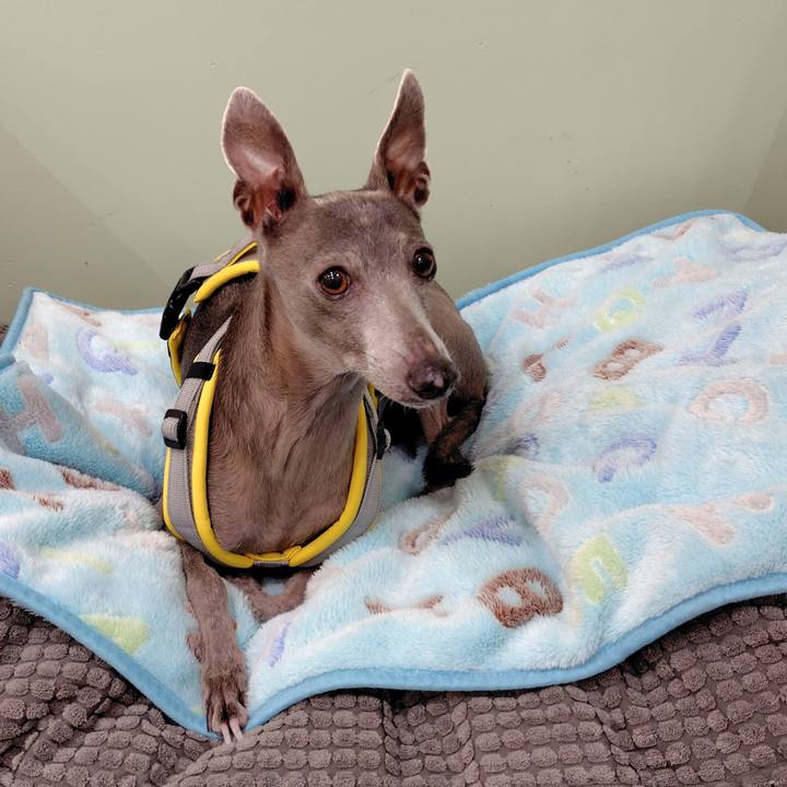 4b02b678 0ea7 4895 bcc9 74e5f92f1e35 1768557105831