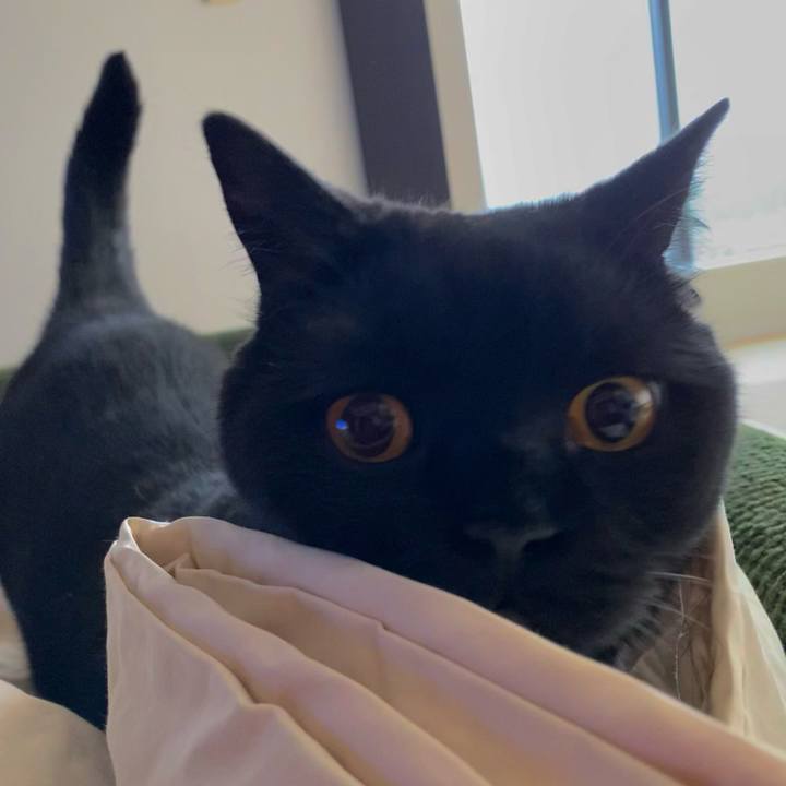 4b02baf4 ba41 4677 9df3 726aafcbccf0 1622778194015