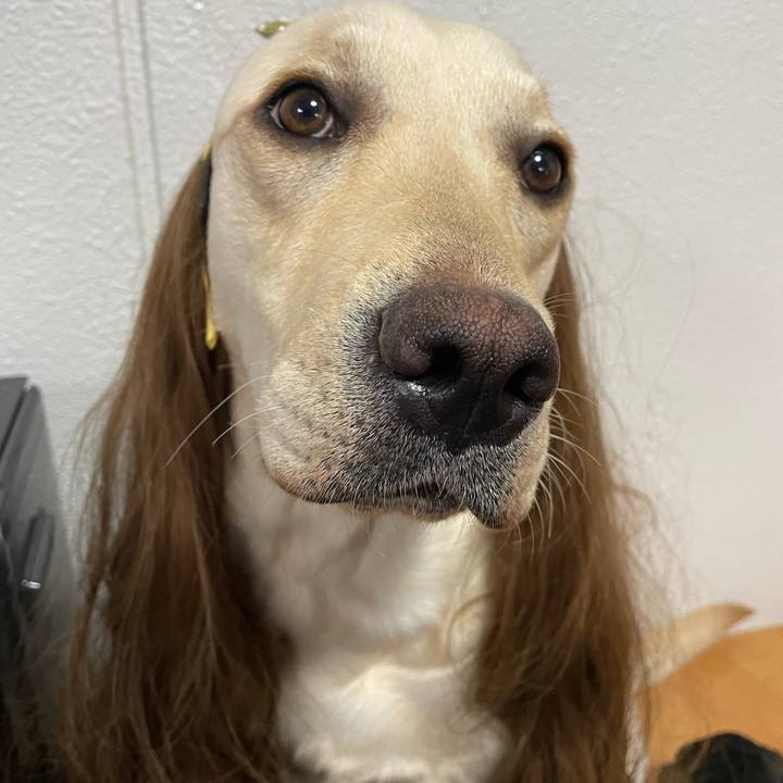 4b02c422 cfce 43a1 a924 2c03bbba62bd 1643874384892