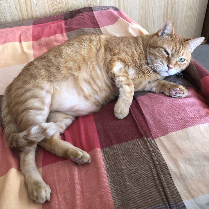 4b02dc40 542f 410f b4f5 0dfa3b61d550 1670036116802