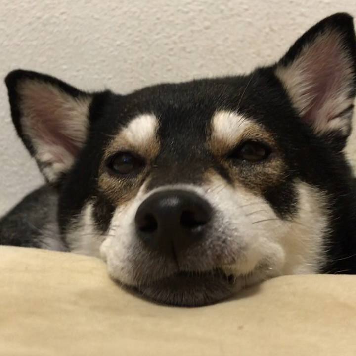 4b033618 0a12 437b ad62 b1decacb7610 1568641647122