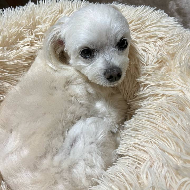 4b035d3b 0c19 4fac ad41 353f6cfb97c9 1698671158427