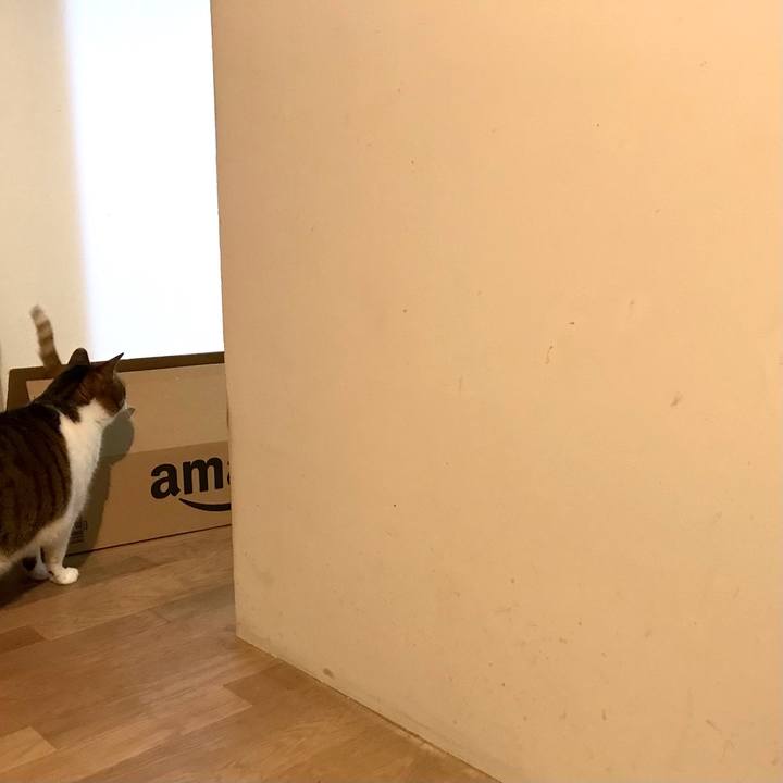 4b0363be 16d0 48c9 9768 ba6161440675 1620220923956