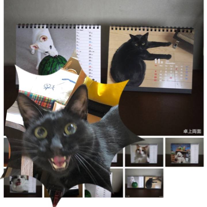 4b03ac3f b0ca 476b 9242 1a2cc9e693a0 1634356820347