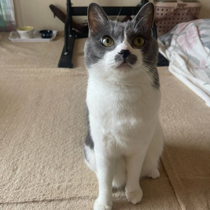 4b03b9b1 7b03 4831 92c8 b62c0b441699 1690085472241