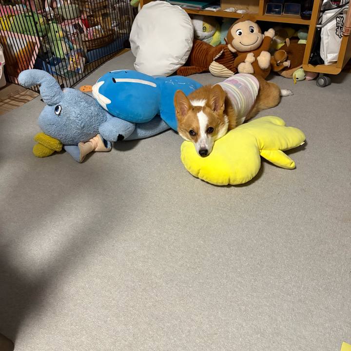 4b03e440 9a3c 4329 945c 60b7fd3a2fb1 1768082199375