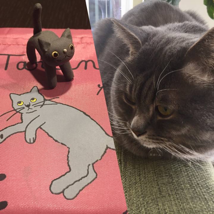 4b03fff9 7b03 4d6a ace8 0d1e0405cd0a 1548942911313