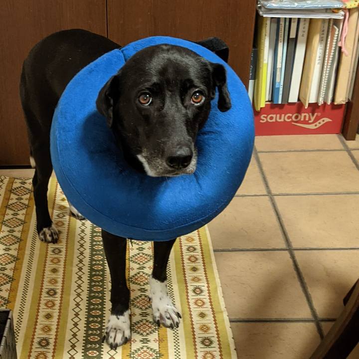 4b0403cf 5b59 464a ae74 265fd8aaf790 1633429570434