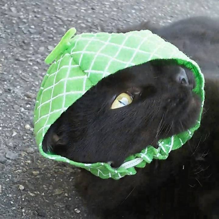 4b0418dd 7d03 41fe b9e5 af4755f81fca 1558068862991