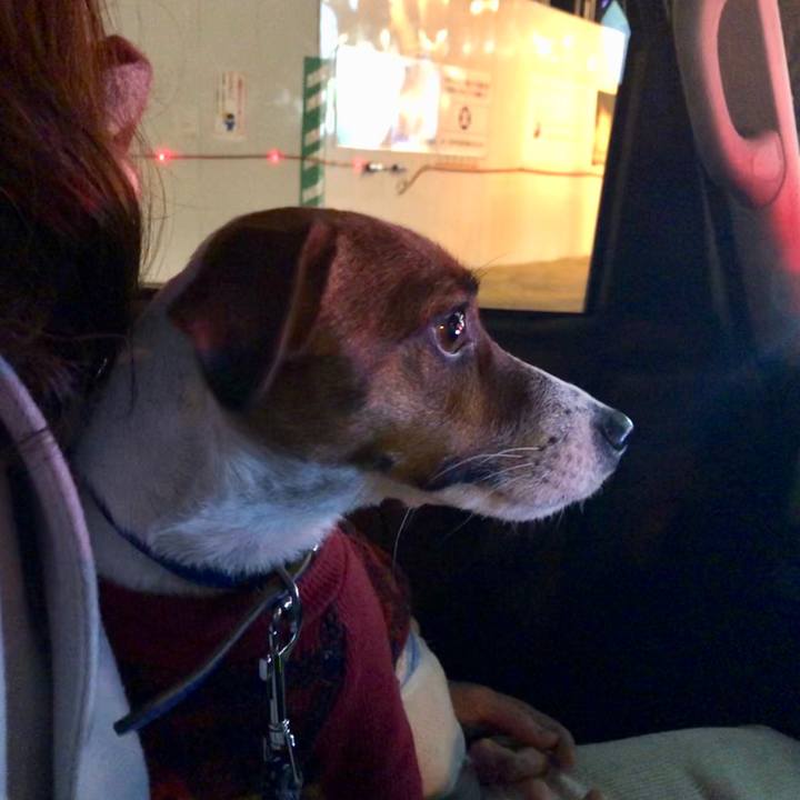 4b0463ac 1ada 4d6c 9b98 122097101057 1547038663414