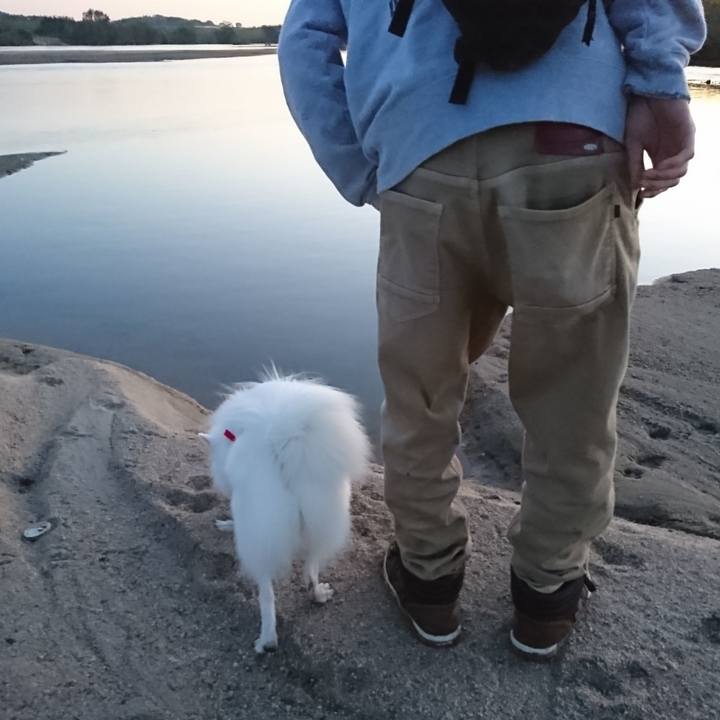 4b046d23 aad9 4de7 acd6 d092dfff8404 1540113897577