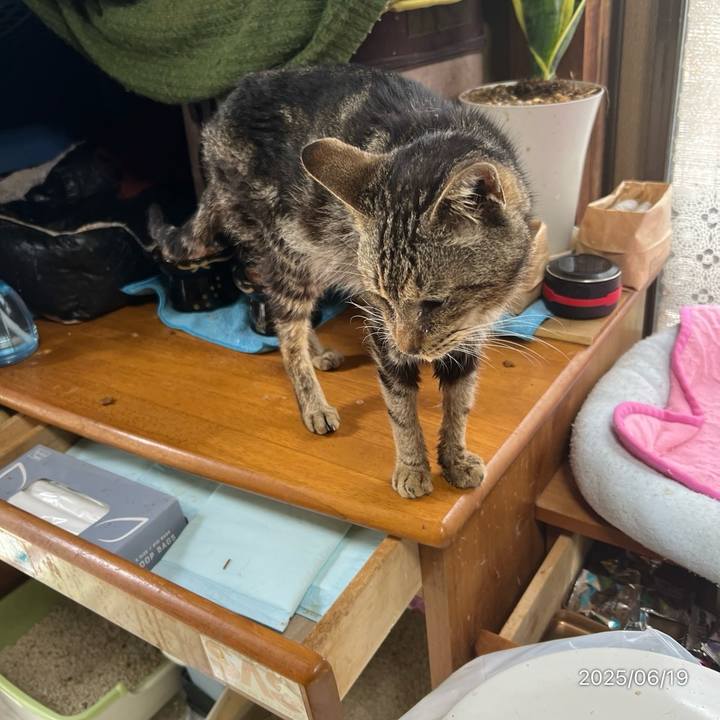 4b04756c b1da 403b bc1c 66a1df56ce12 1750284408567