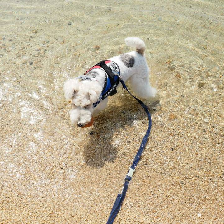 4b048779 14ae 418f a8fd a14938415a1a 1526220731960