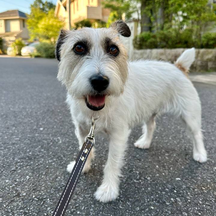 4b0491a7 0234 4fe7 8f58 4b46b05d4439 1753775203196