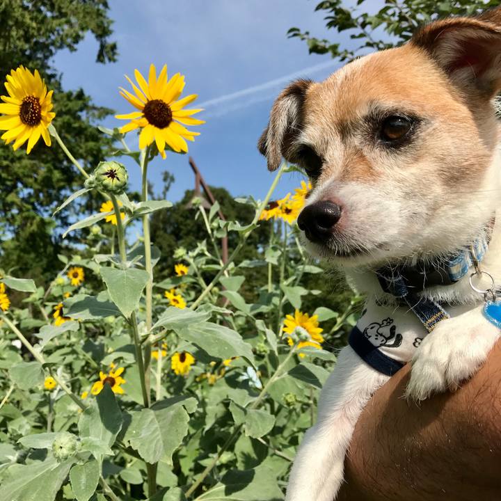 4b0499e2 8783 451d a0b0 3431df1ea145 1600739104430