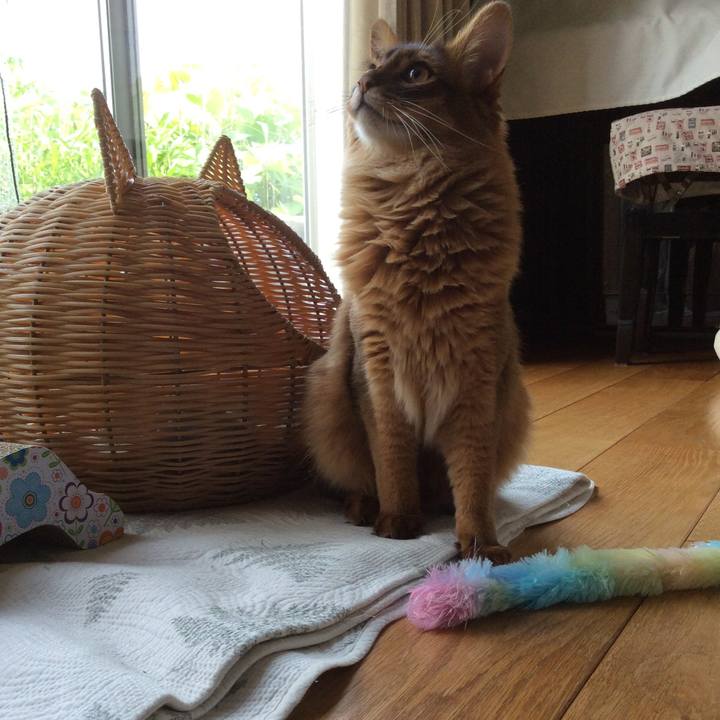 4b04b2a7 90e2 40a1 8f4d 8a5da9399f62 1590970027049