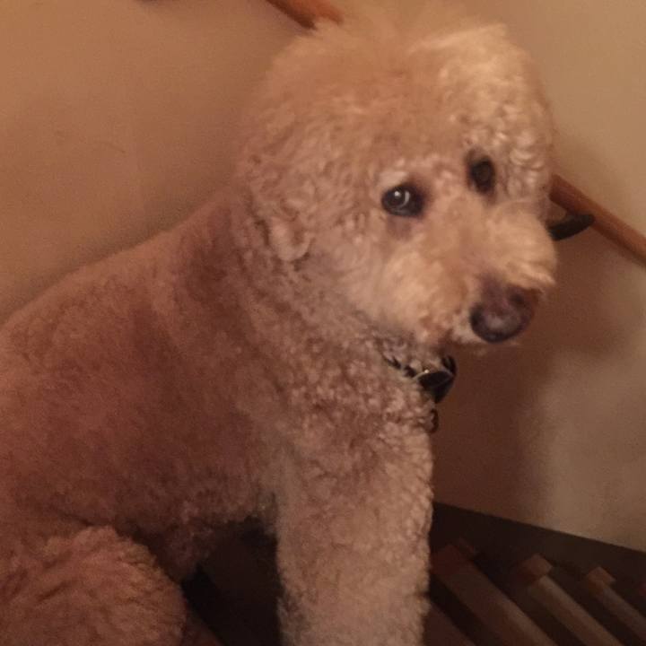 4b04d90c 48a4 40ae 9ee3 8faa7de420d7 1601980325085