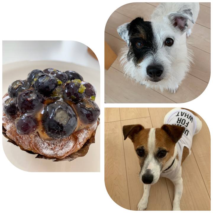 4b056917 2efe 437d 9a1b fea1110bf74f 1563582378822