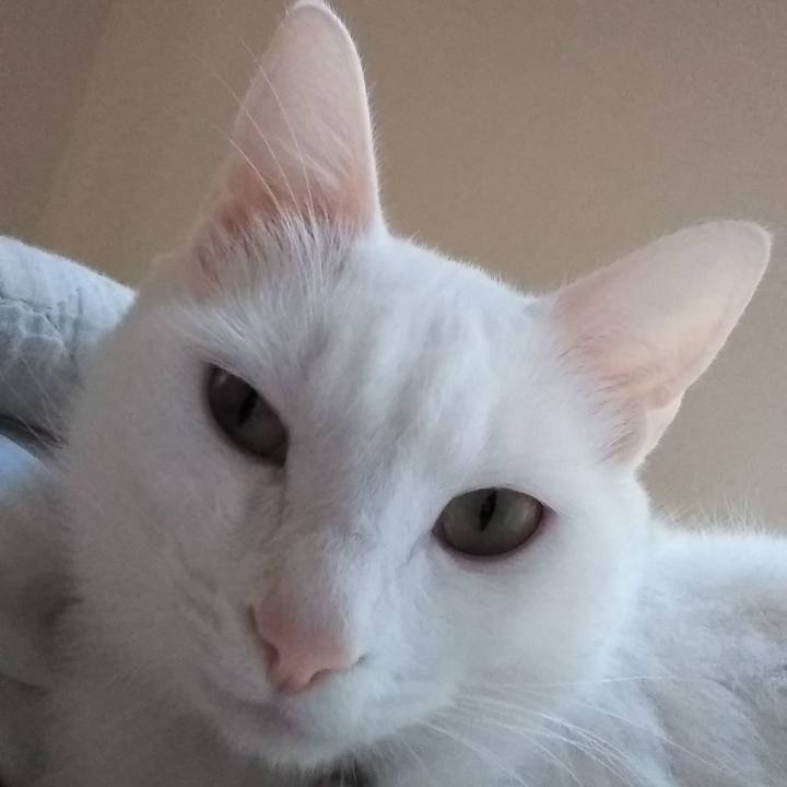 4b056ca1 a839 435a 842a 30917d0dcf2b 1634698039874