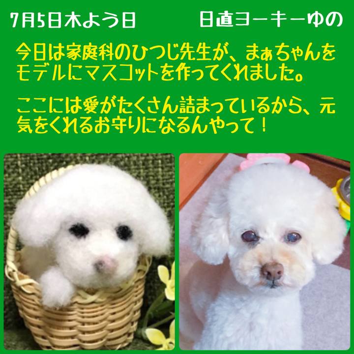 4b059137 c948 4b9f 8757 5bd53e243785 1530757294216