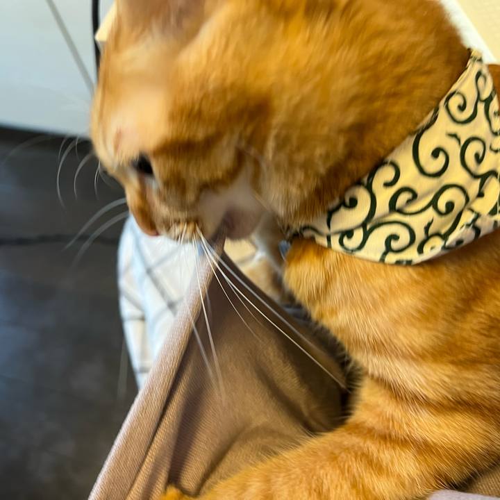 4b05c559 dd14 45db 88a9 49d1abb56893 1652059870447