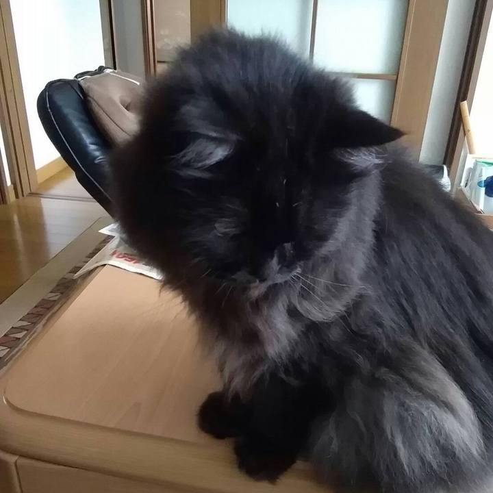 4b05dae1 4731 483e 9d53 c9e0402db352 1526616022251