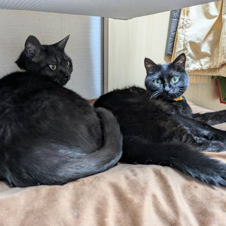 4b05efa4 4d8f 4fc5 bef2 28d4287f8613 1766613384242