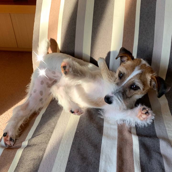 4b0609a7 7ccb 4430 bff4 15d8769ddb9a 1581462783686