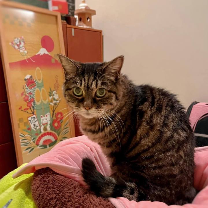 4b0644f2 345b 431a a941 9e9b525cc762 1767656289145