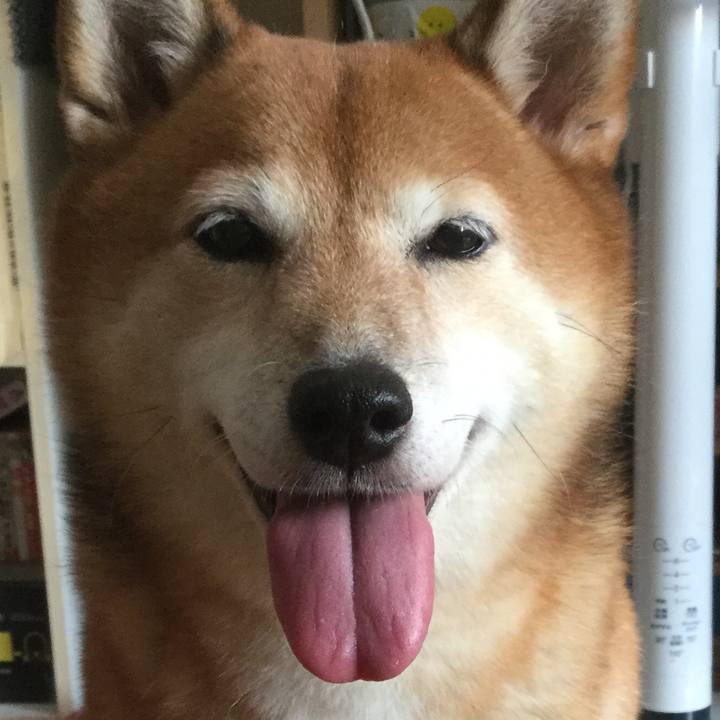 4b0671cf f1e9 4a3e ad35 28d6d83d5b1e 1599282894305