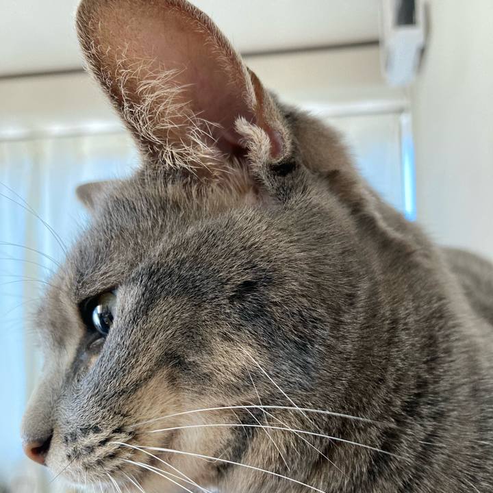 4b067e10 6d00 4add ba25 2cdd5e1247f1 1638181065243