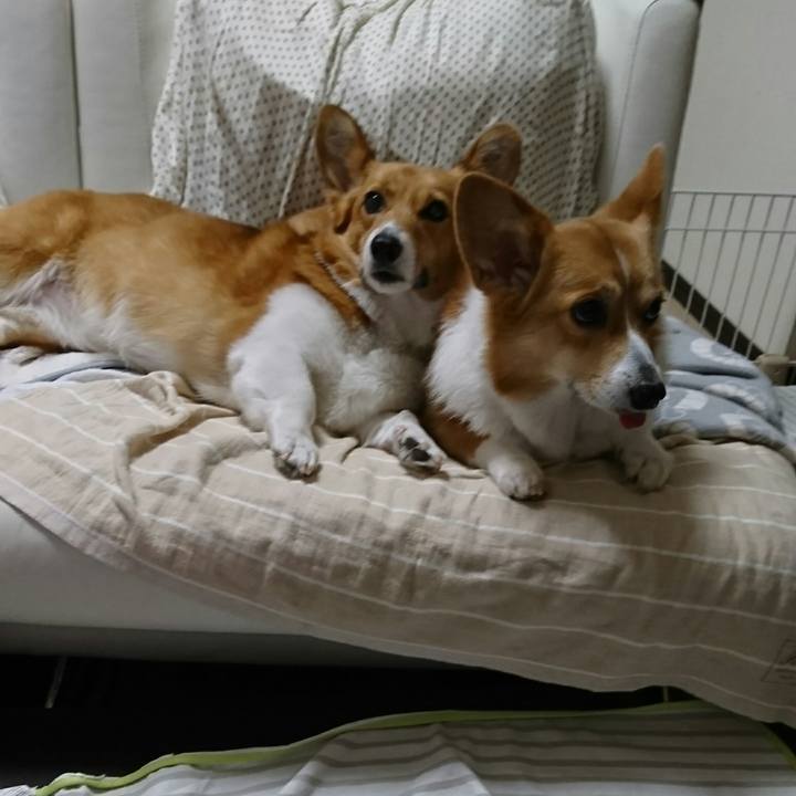 4b068c3c 53c4 4471 8824 1aa3a264a428 1516602050099