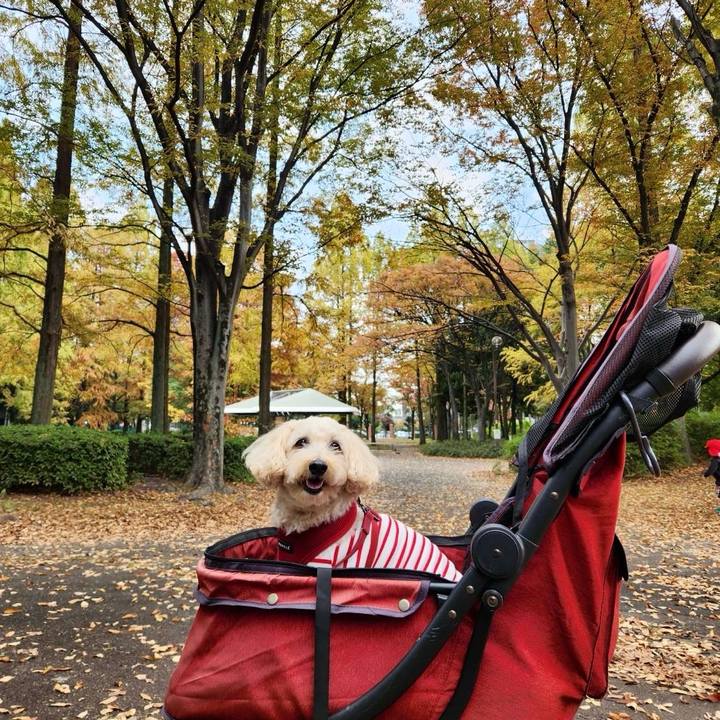 4b069637 6118 4b68 b2e7 ddb9ba11c194 1763354140835